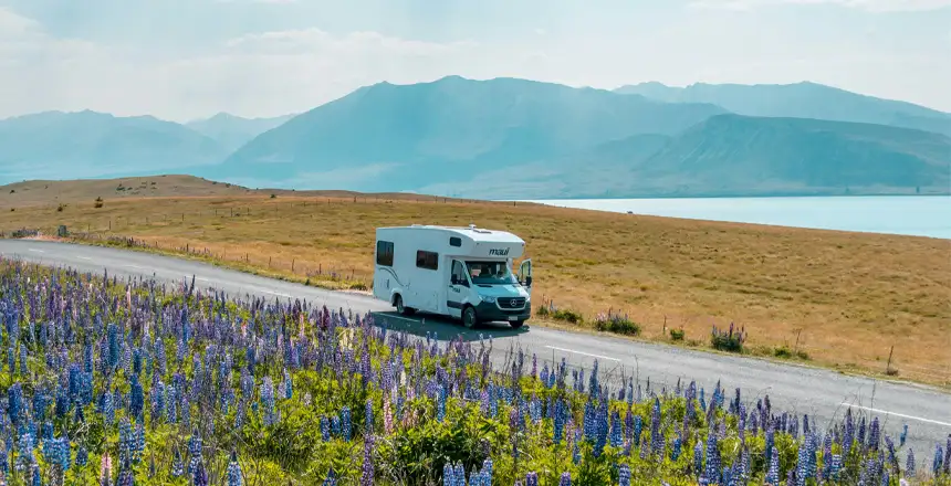 Weißes Wohnmobil auf einer Straße neben Blumenwiese am Tekapo-See in Neuseeland