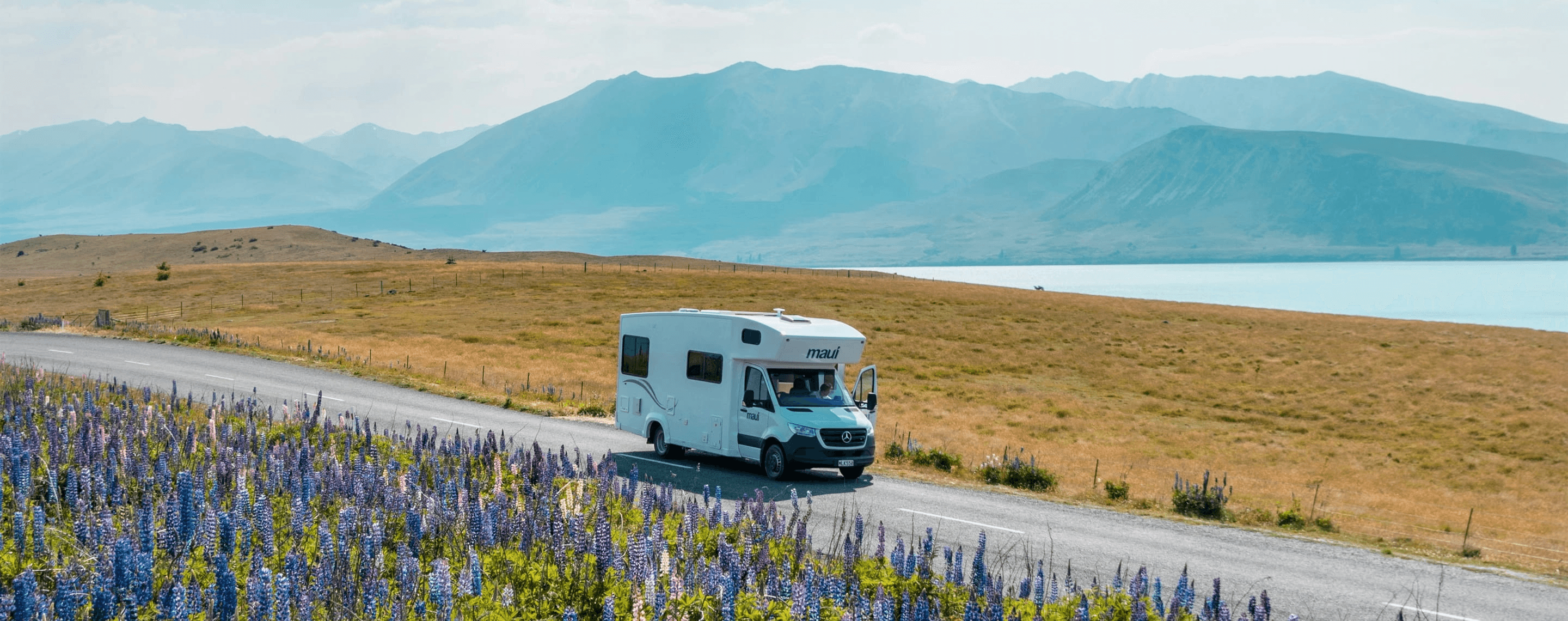 Weißes Wohnmobil auf einer Straße neben Blumenwiese am Tekapo-See in Neuseeland