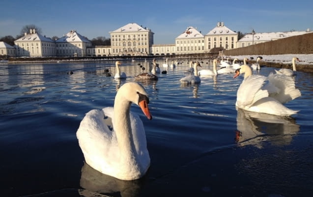 Schloss Nymphenburg in München im Winter mit Schwänen